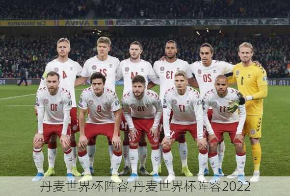 丹麦世界杯阵容,丹麦世界杯阵容2022