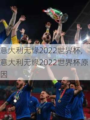 意大利无缘2022世界杯,意大利无缘2022世界杯原因